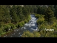 A Wild Creek in Northern Colorado 2550
